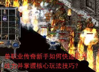 ��ְҵ����������ο�������ս�������պ����淨���ɣ�