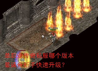 ��ְҵ����˽���ĸ��汾���ʺ����ֿ���������