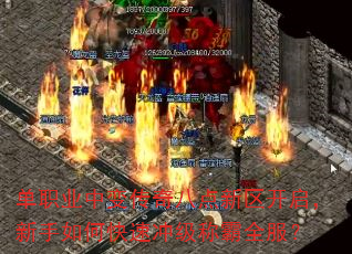 ��ְҵ�б䴫��˵�����������������ο��ٳ弶�ư�ȫ����