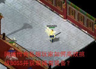 ��ͨ����˽�������θ�Ч��սBOSS����ȡϡ��װ����