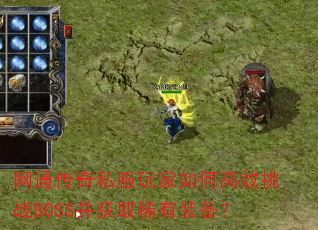 ��ͨ����˽�������θ�Ч��սBOSS����ȡϡ��װ����