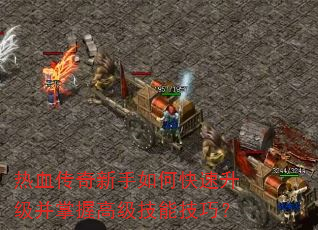 ��Ѫ����������ο������������ո߼����ܼ��ɣ�