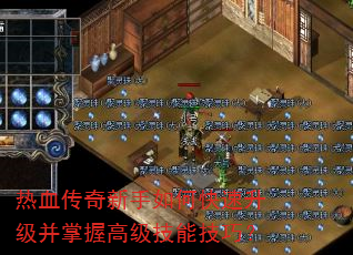 ��Ѫ����������ο������������ո߼����ܼ��ɣ�