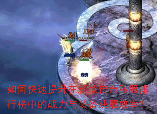 ��ο����������¿��˽�����а��е�ս����װ����ȡЧ�ʣ�