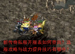 �´���˽����������β�ѯ��ѡ��������ս��������������Щ��