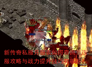 �´���˽����������β�ѯ��ѡ��������ս��������������Щ��