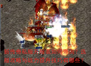 �´���˽����������β�ѯ��ѡ��������ս��������������Щ��