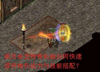 �¿��ϻ�����˽����ο���������ɫս���뼼�ܴ��䣿