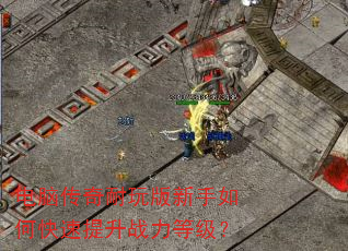 ���Դ��������������ο�������ս���ȼ���