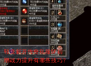 轻变新开传奇私服SF初期战力提升有哪些技巧? 轻变新开传奇私服SF初期战力提升有哪些技巧?