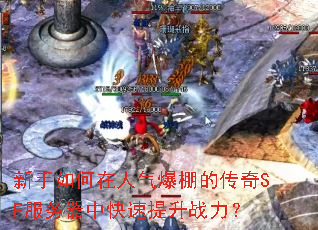 �����������������Ĵ���SF�������п�������ս����