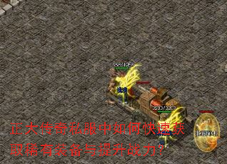 ������˽������ο��ٻ�ȡϡ��װ��������ս����