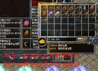 �տ�һ�봫������Ѫ����sf������ο�������ս���ȼ���