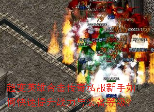 ����Ӣ�ۺϻ�����˽��������ο�������ս����װ���ȼ���