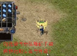 ��ң¼����˽��������ο���ˢװ����������