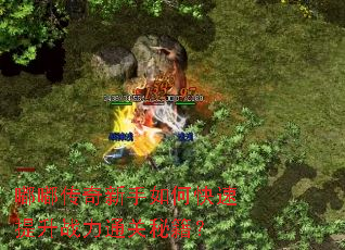 �ུ���������ο�������ս��ͨ���ؼ���