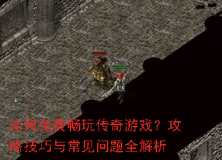 �����ѳ��洫����Ϸ�����Լ����볣������ȫ����