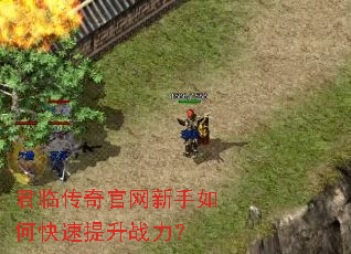 君临传奇官网新手如何快速提升战力? 君临传奇官网新手如何快速提升战力?