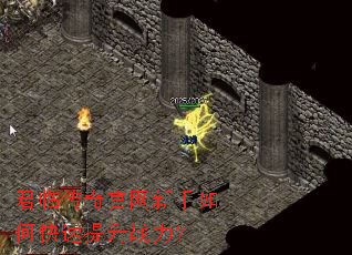 ���ٴ������������ο�������ս����