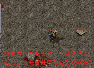 ��Ѫ����˽������99����ο���ˢ������װ������Ϊ������������