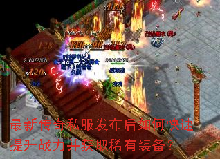 ���´���˽����������ο�������ս������ȡϡ��װ����