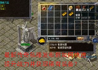 ���´���˽����������ο�������ս������ȡϡ��װ����