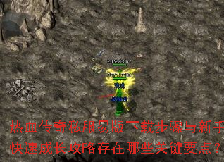 ��Ѫ����˽���װ����ز��������ֿ��ٳɳ����Դ�����Щ�ؼ�Ҫ�㣿