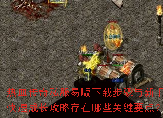 ��Ѫ����˽���װ����ز��������ֿ��ٳɳ����Դ�����Щ�ؼ�Ҫ�㣿