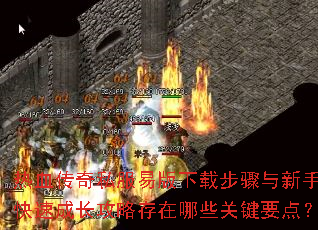 ��Ѫ����˽���װ����ز��������ֿ��ٳɳ����Դ�����Щ�ؼ�Ҫ�㣿