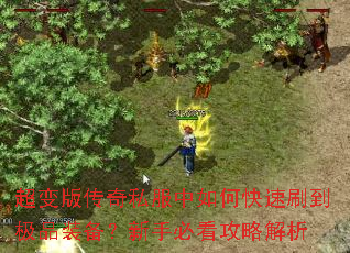 ����洫��˽������ο���ˢ����Ʒװ�������ֱؿ����Խ���