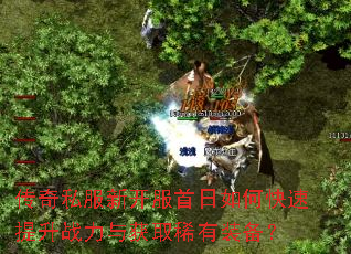 ����˽���¿���������ο�������ս�����ȡϡ��װ����