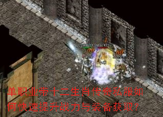 ��ְҵ��ʮ����Ф����˽����ο�������ս����װ����ȡ��