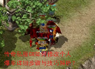 ����˽��GM����޸ĸ��˱�����ϸ�����뼼�ɽ�����