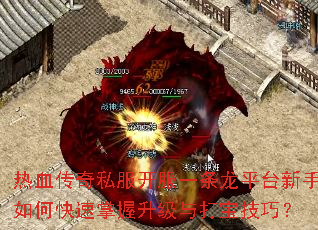 ��Ѫ����˽������һ����ƽ̨������ο�������������򱦼��ɣ�