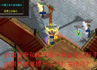 ��Ѫ����˽������һ����ƽ̨������ο�������������򱦼��ɣ�