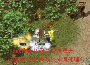 1.95st����˽���ܵ�¼���޷�����������ʧ�ܸ���δ�����