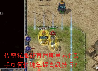 ����˽��SFֱ�����￴��������ο������ո߼����ɣ�