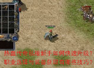 ��Ѫ����˽��������ο���������ְҵѡ����װ����ȡ����Щ���ɣ�