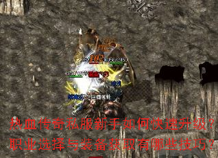 ��Ѫ����˽��������ο���������ְҵѡ����װ����ȡ����Щ���ɣ�