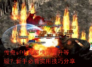 ����sf����ο��������ȼ������ֱؿ�ʵ�ü��ɷ���