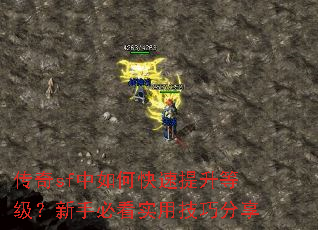 ����sf����ο��������ȼ������ֱؿ�ʵ�ü��ɷ���