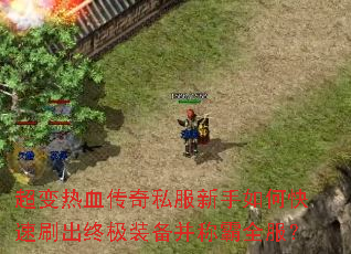 ������Ѫ����˽��������ο���ˢ���ռ�װ�����ư�ȫ����