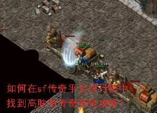 �����sf����ƽ̨���а����ҵ���ʤ�ʴ�����Ϸ���ԣ�