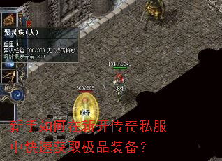 ����������¿�����˽���п��ٻ�ȡ��Ʒװ����