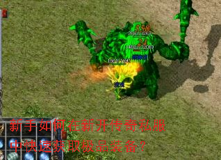 ����������¿�����˽���п��ٻ�ȡ��Ʒװ����