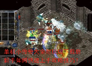 ����С�����ȫ��������غ�������ο������ֹ��Լ��ɣ�