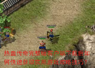 ��Ѫ����������ͻ������غ���ο��ٻ�ȡʵ����Ϸ���Լ��ɣ�