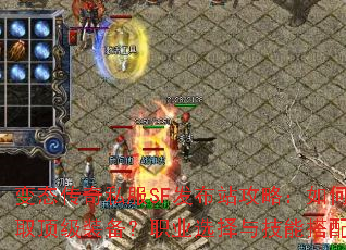 ��̬����˽��SF����վ���ԣ���ο�����������ȡ����װ����ְҵѡ���뼼�ܴ�������Щ���ɣ�