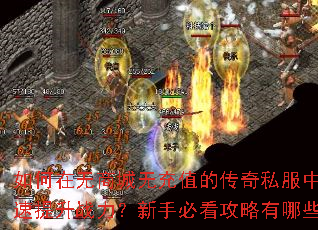 ��������̳��޳�ֵ�Ĵ���˽���п�������ս�������ֱؿ���������Щ��