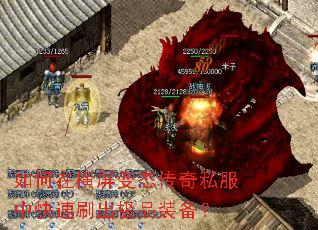 ����ں�����̬����˽���п���ˢ����Ʒװ����